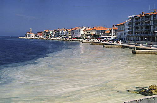 Piran